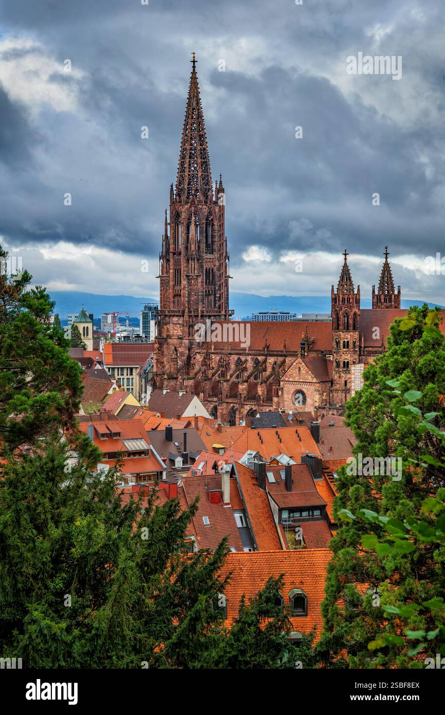 Città di Friburgo in Breisgau in Germania. La città vecchia con la cattedrale della cattedrale di Friburgo e le case con piastrelle rosse. Foto Stock