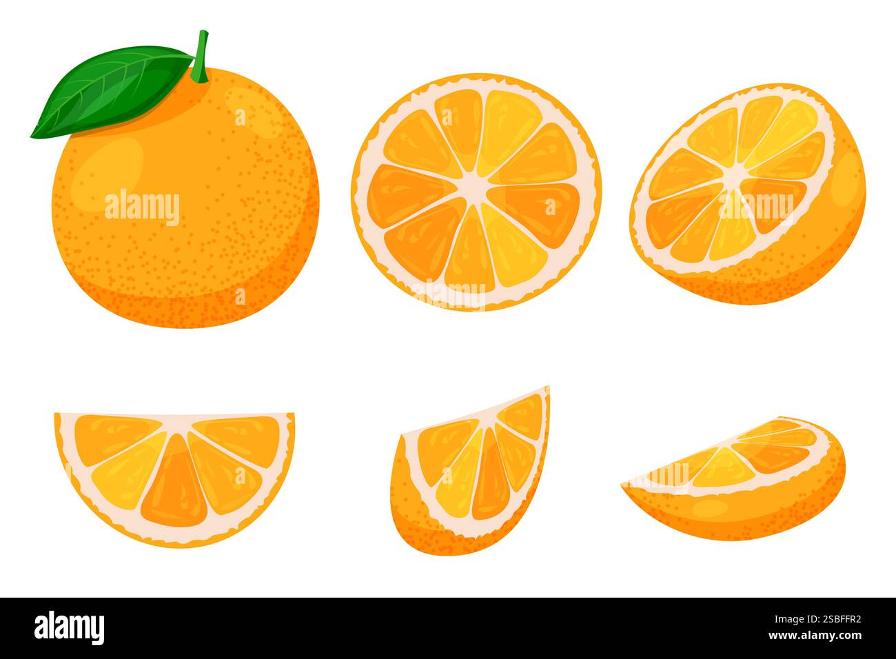 Set intero e tagliato a fette di arancio maturo isolato su sfondo bianco. Illustrazione di un cartone animato piatto vettoriale. Elementi di design con frutti tropicali di agrumi Illustrazione Vettoriale