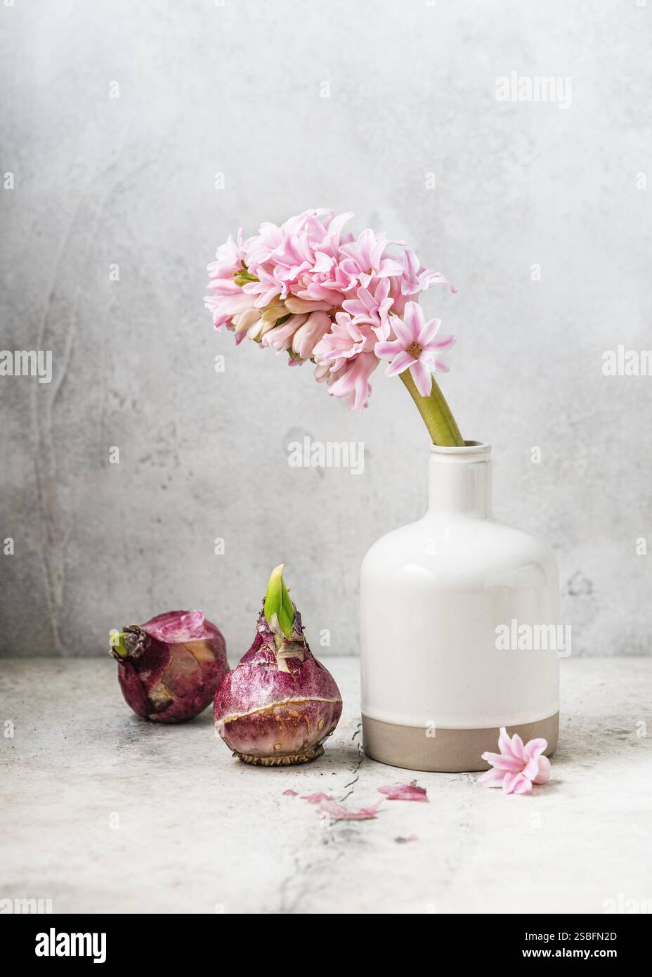 Natura morta con fiori di Giacinto rosa pastello e bulbi in un vaso di ceramica. Arredamento fatto in casa. Copia spazio. Foto Stock