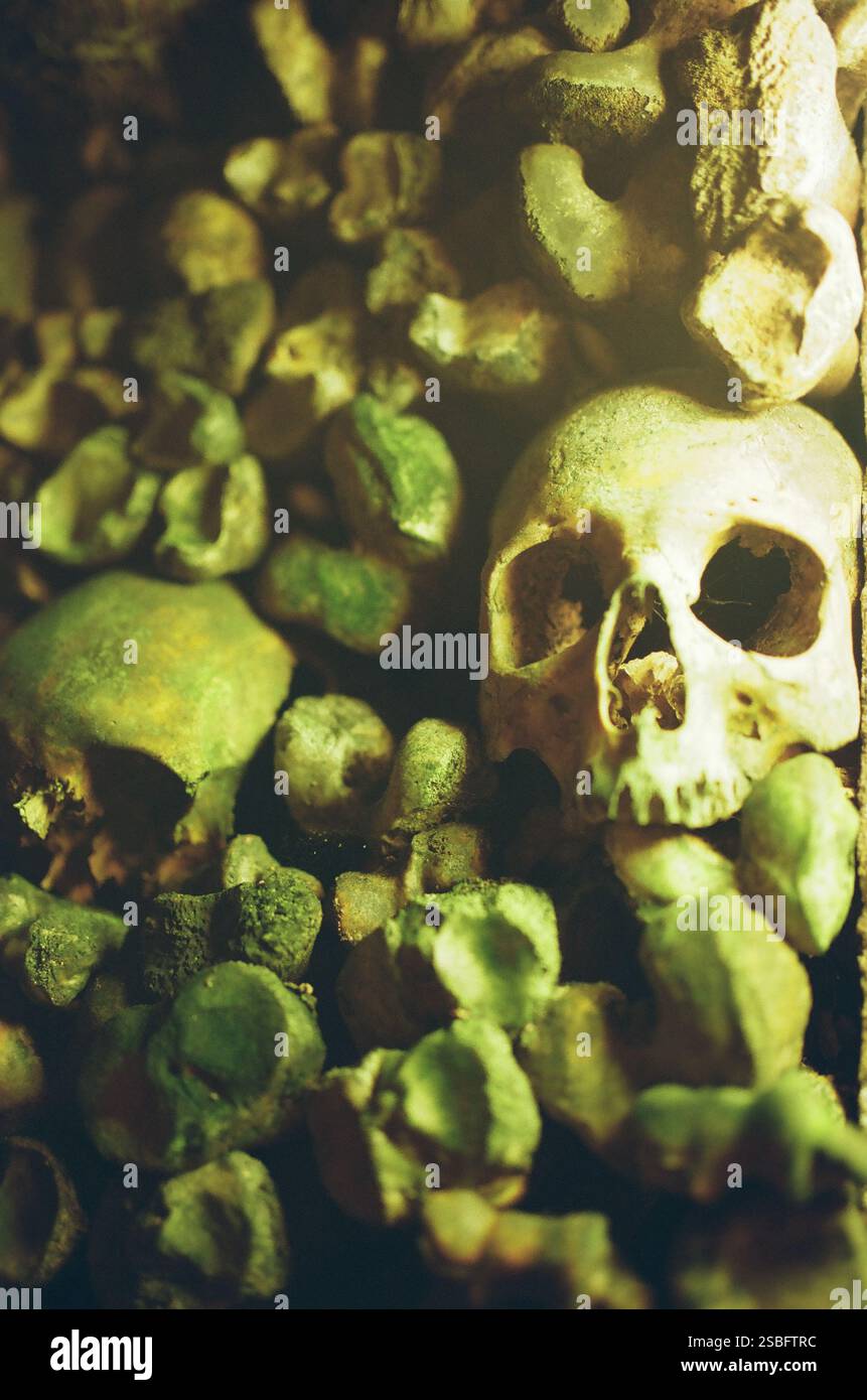 Un cranio umano tra ossa coperte di muschio in un ambiente inquietante e scarsamente illuminato. Foto Stock
