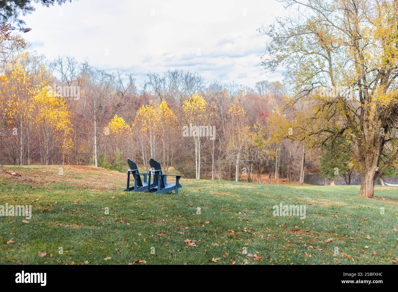 Le sedie Adirondack si affacciano su un tranquillo campo autunnale con alberi di betulla Foto Stock