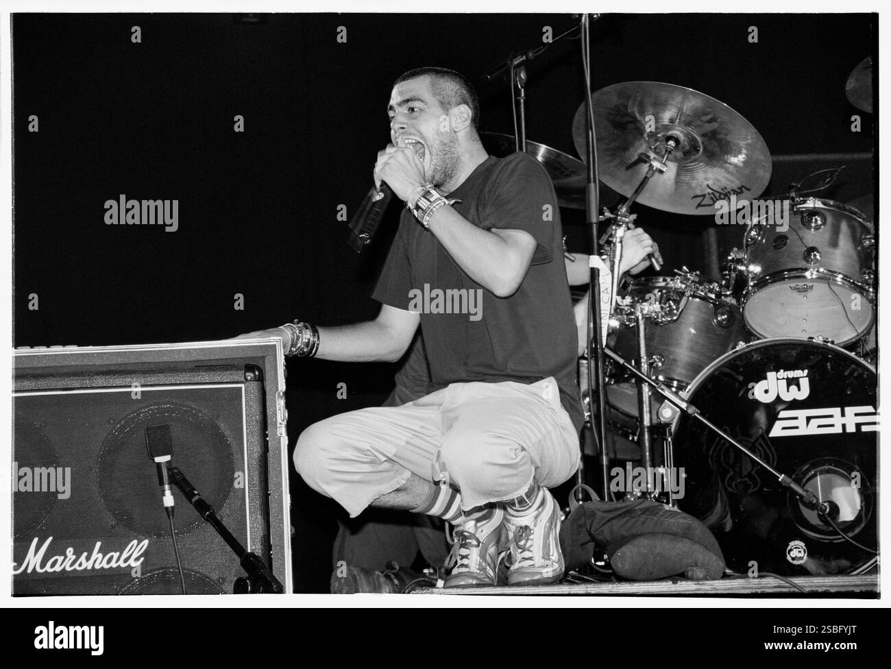 ALIEN ANT FARM, READING FESTIVAL, 2001: Dryden Mitchell della rock band americana Alien Ant Farm che suona il Melody Maker Stage al Reading Festival, Reading, Inghilterra, il 24 agosto 2001. Foto: Rob Watkins. INFO: Alien Ant Farm è un gruppo musicale statunitense formatosi nel 1996 in California. Meglio conosciuti per la loro cover di successo del 2001 di "Smooth Criminal" di Michael Jackson, fondono influenze alternative rock, nu-metal e punk, ottenendo il successo con il loro album Anthology. Foto Stock
