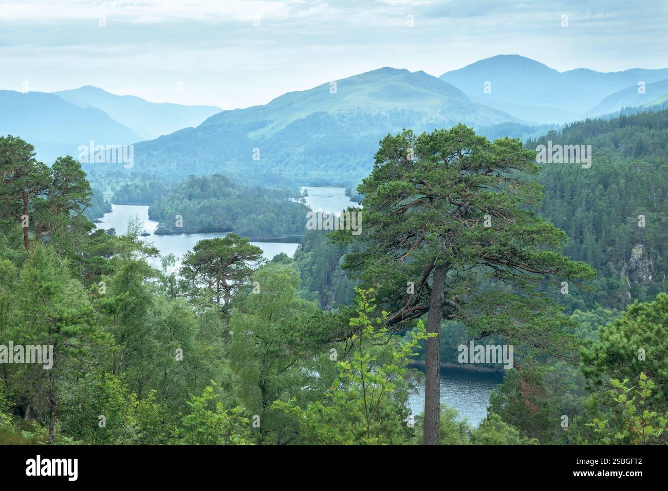 Glen Affric punto di vista panoramica sulle Highlands, Scozia, Regno Unito Foto Stock