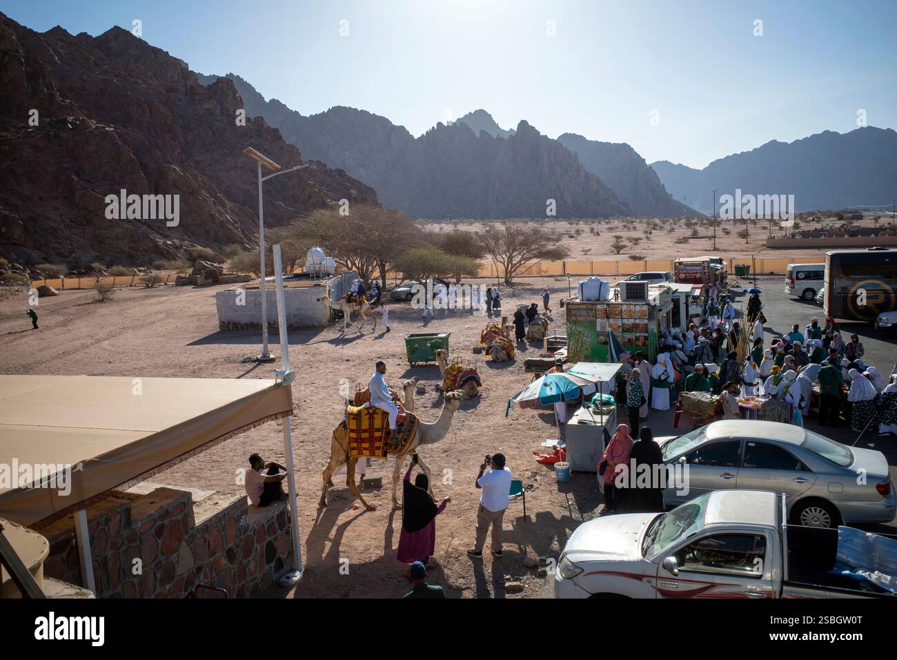 Medina, Arabia Saudita - 2 luglio 2024: Cammelli e cavalli nel deserto vicino al distretto di Medina vengono affittati ai visitatori, durante la stagione Hajj. Foto Stock
