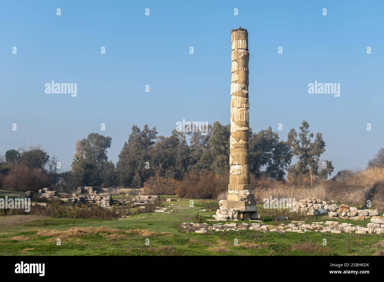 Il Tempio di Artemide o Artemision si trova a Efeso (vicino alla città di Selcúk nell'odierna Turchia Foto Stock