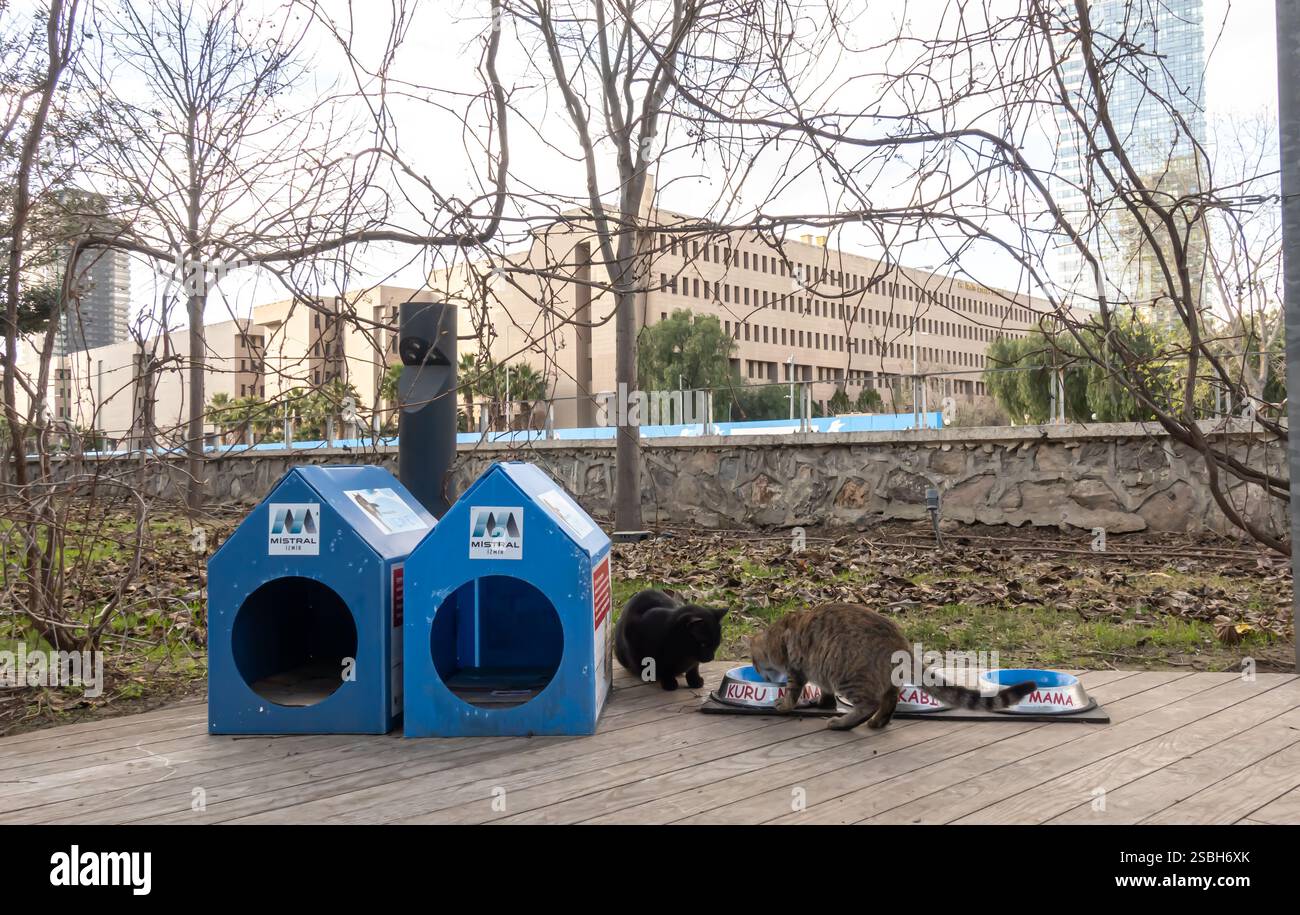 Casa per gatti di strada con contenitori di cibo per gatti, izmir Turchia Foto Stock