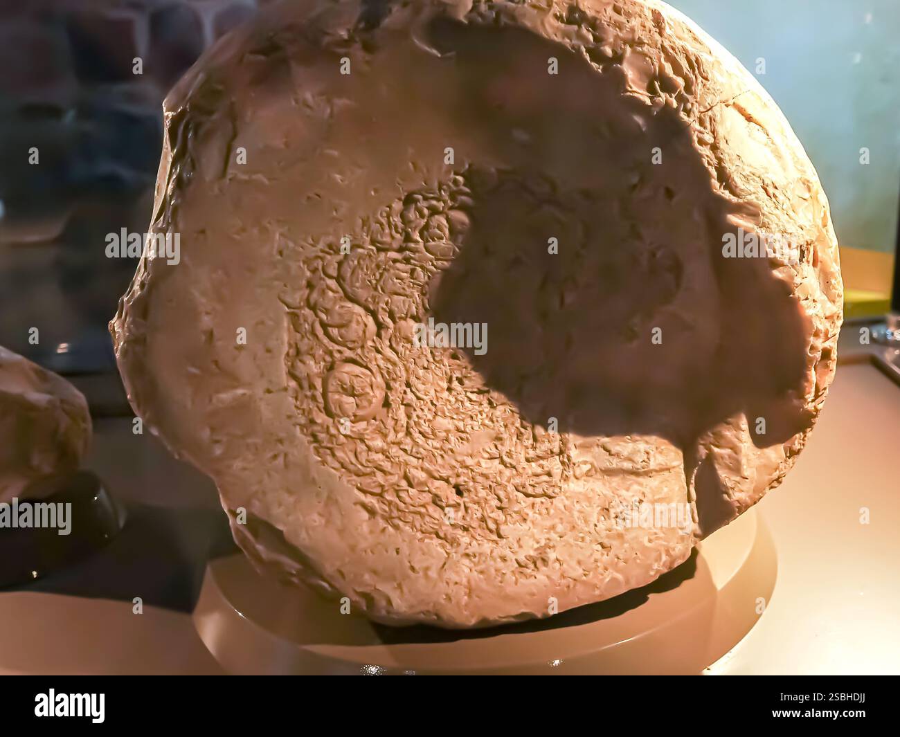 Flinstone, chert, mosso dal fiume Tigri, all'interno della terrazza di Quaterner ripraps (1,8 milioni - 10000 anni fa), Diyarbakır Turchia Turkiye Foto Stock