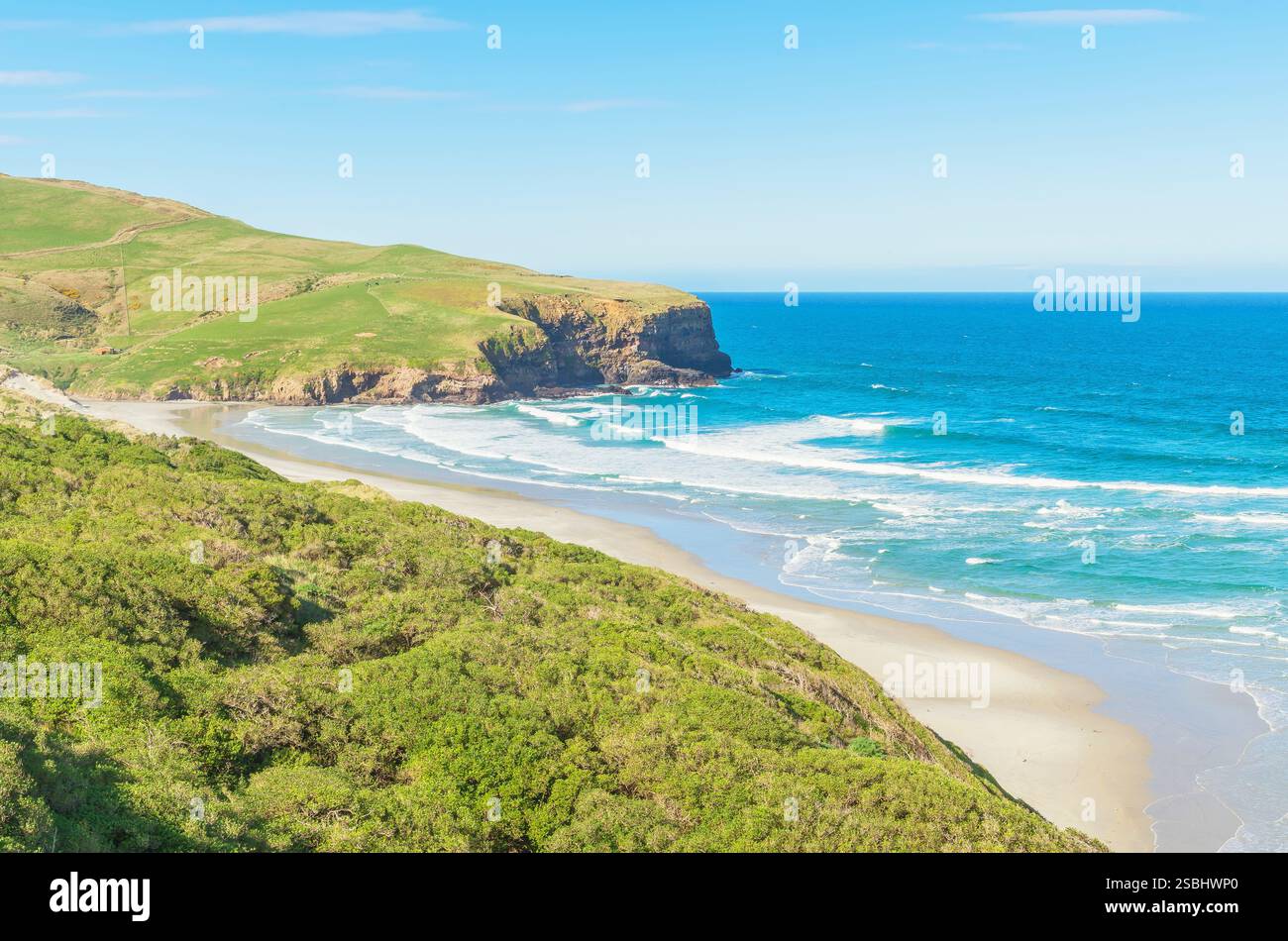 Spiaggia, Penisola di Otago, regione di Otago, Isola del Sud, nuova Zelanda Foto Stock