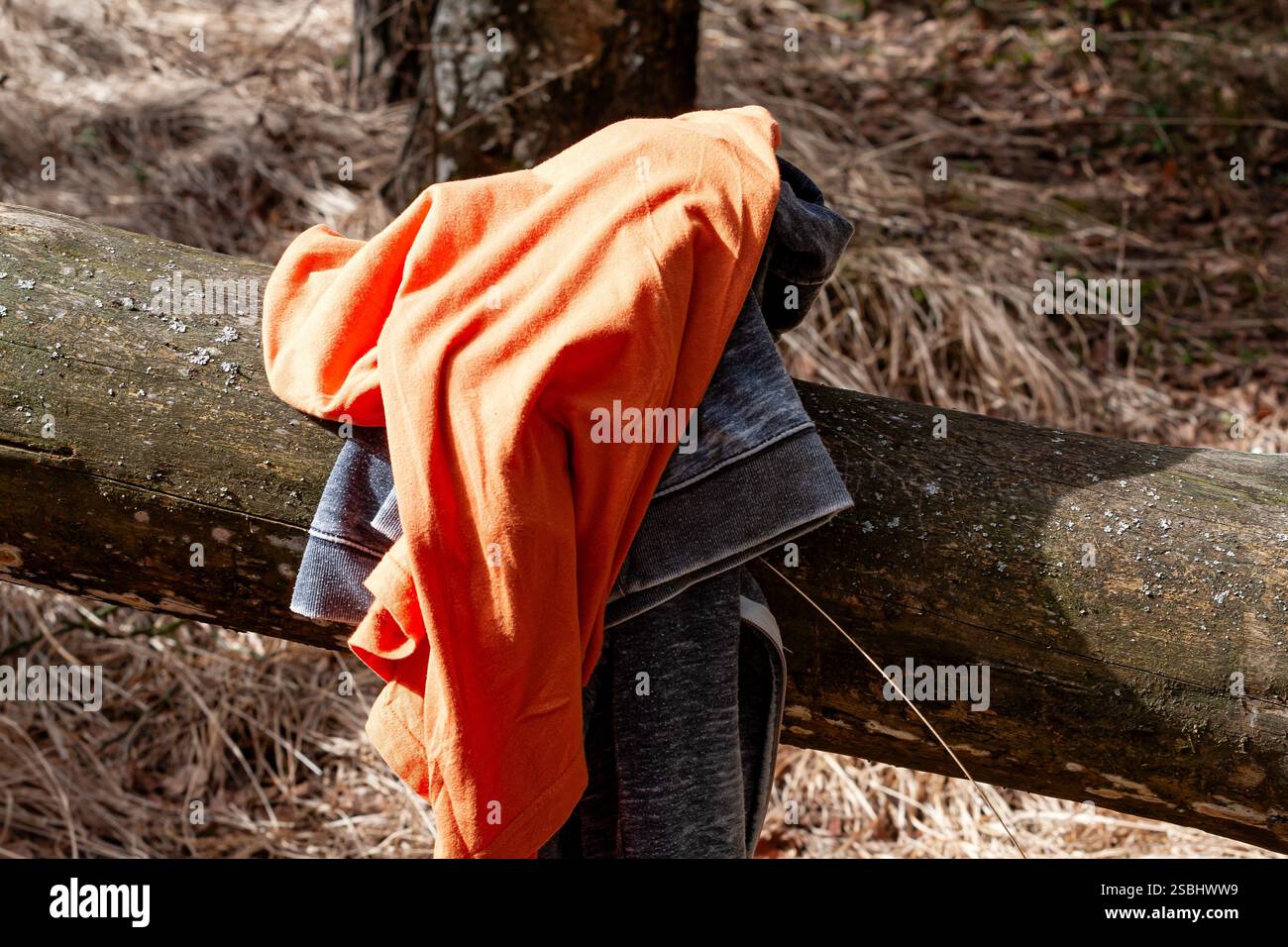 Gli abiti, tra cui una camicia arancione e un pezzo di tessuto grigio, sono avvolti casualmente su un tronco di legno nell'ambiente naturale di una foresta con scaglie di erba asciutta Foto Stock