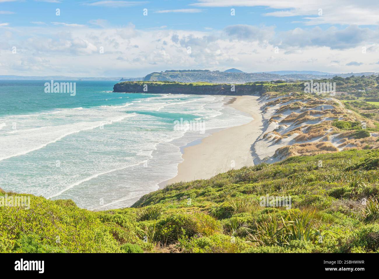 Spiaggia, Penisola di Otago, regione di Otago, Isola del Sud, nuova Zelanda, Foto Stock