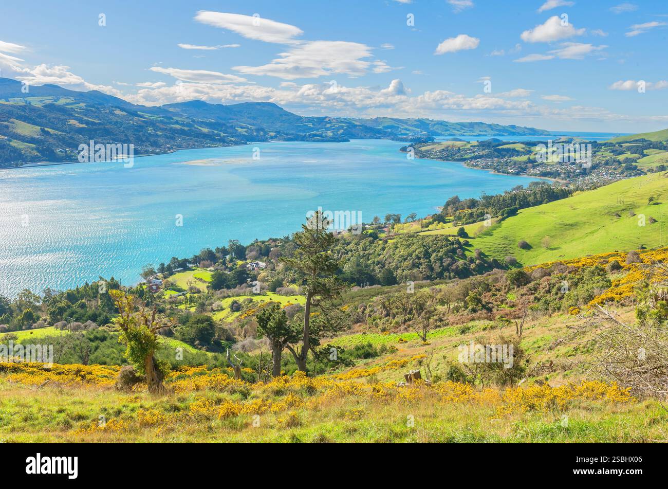 Vista sulla penisola di Otago, la regione di Otago, Dunedine, Otago, South Island, nuova Zelanda Foto Stock