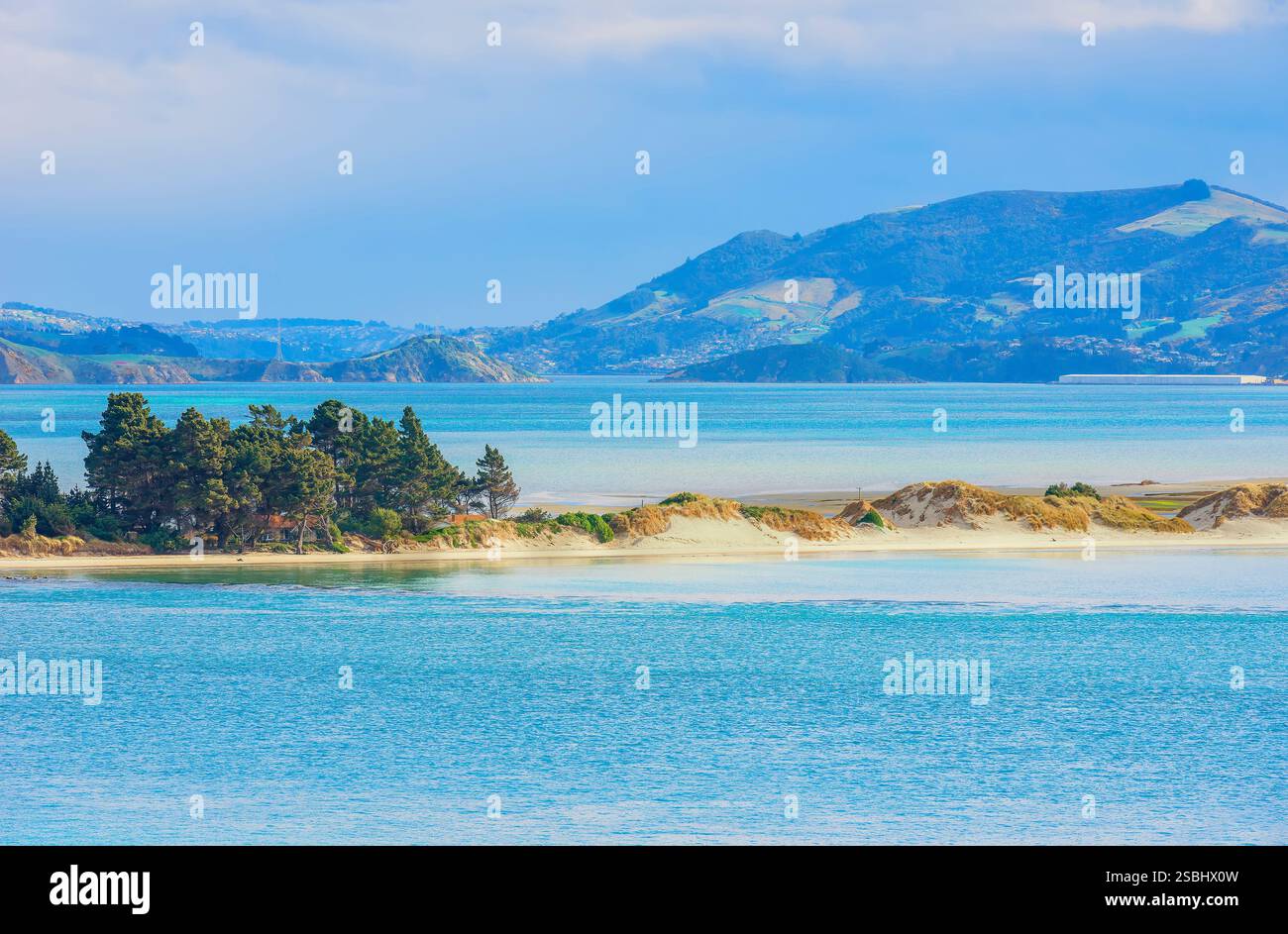 Penisola di Otago, Dunedine, Otago, South Island, in Nuova Zelanda, Foto Stock