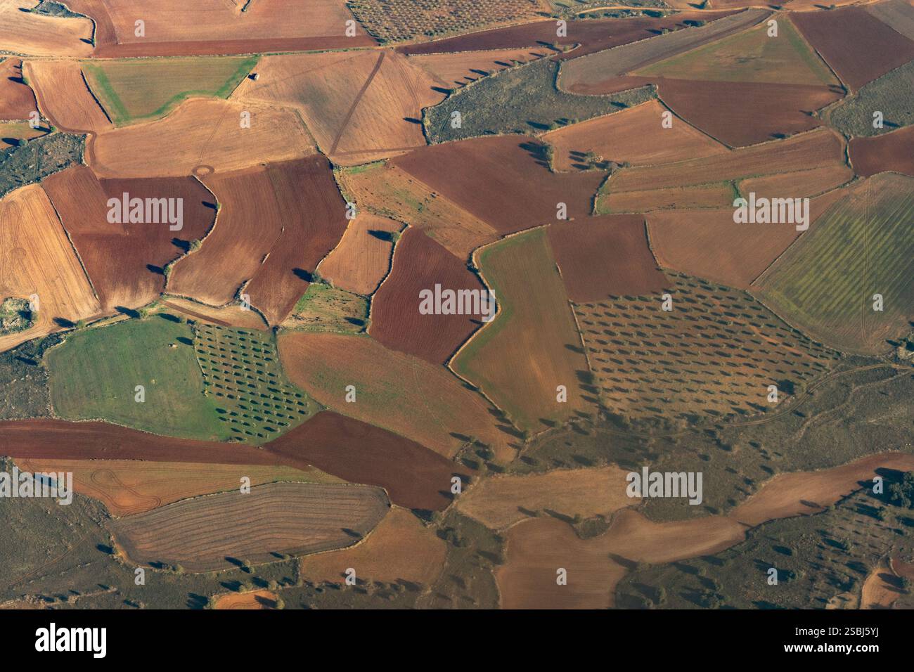 Vista aerea di frutteti e terreni agricoli vicino all'aeroporto di Madrid in Spagna. Foto Stock