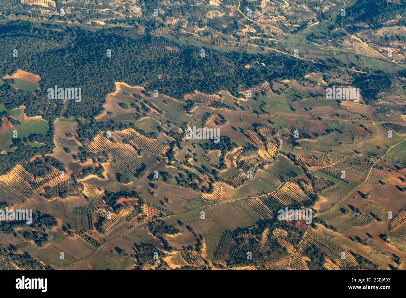 Vista aerea di frutteti e terreni agricoli vicino all'aeroporto di Madrid in Spagna. Foto Stock