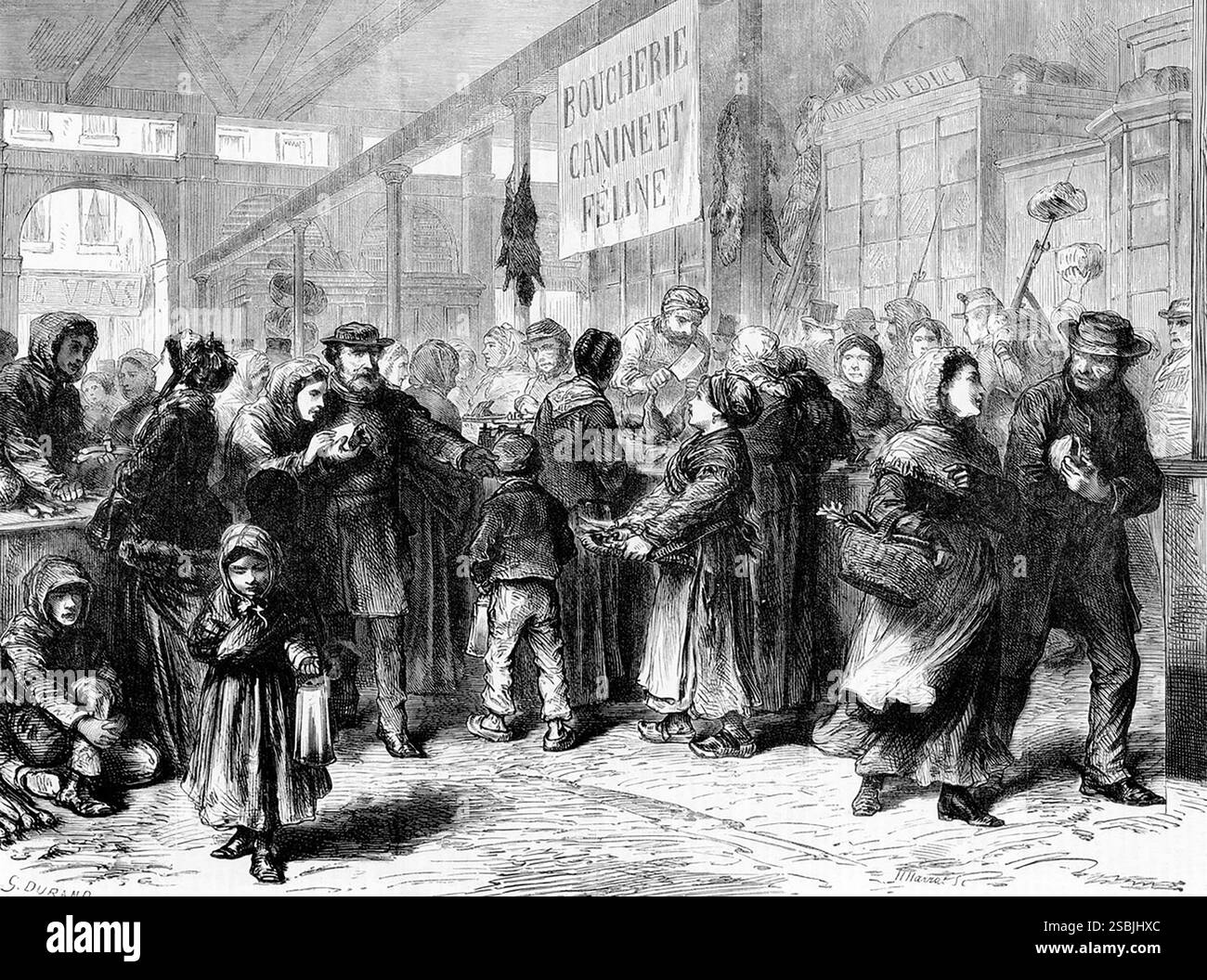 Macellaio di carne di cane e gatto a Parigi durante l'assedio di Parigi, guerra franco-prussiana, 1871. Il cibo era scarso durante la guerra. Illustrazione dalla figura, 1871. Foto Stock