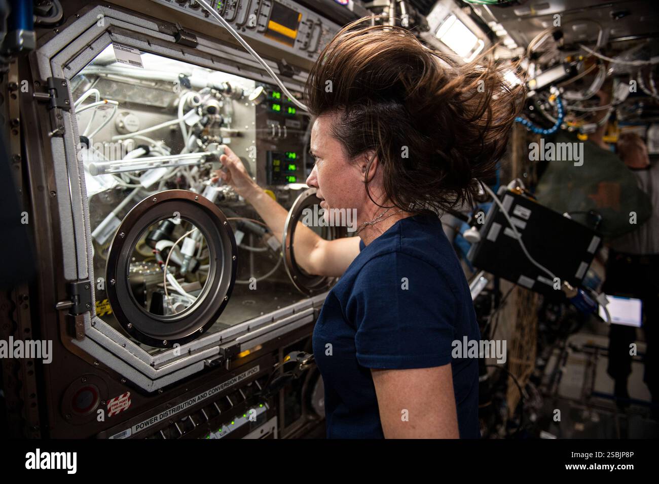 Astronauta della NASA e ingegnere di volo della Expedition 65 Megan McArthur a bordo della stazione spaziale Internazionale il 24 maggio 2021. McArthur sta lavorando al cassetto portaoggetti Microgravity Science scambiando campioni per un esperimento chiamato solidificazione usando un deflettore in fiale sigillate, o SUBSA. L'indagine fisica esplora i metodi sperimentali di cristallizzazione fonde in microgravità e si prevede che comporti una riduzione del movimento dei fluidi nella fusione, portando a una migliore distribuzione dei sottocomponenti e al potenziale di una migliore tecnologia utilizzata nella produzione di cristalli semiconduttori. Foto Stock