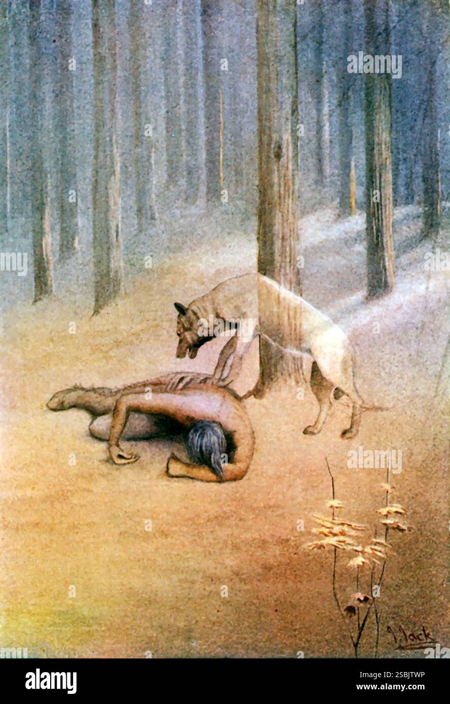 Un indiano americano che dorme come uno spirito di lupo totem, Utonagan, lo protegge. Foto Stock