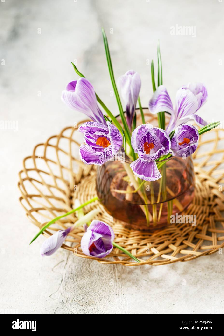 Incredibile bouquet di croco viola con fiori a righe, King of Striped, in vaso di vetro per l'arredamento della casa. Stile vintage. Copia spazio. Foto Stock