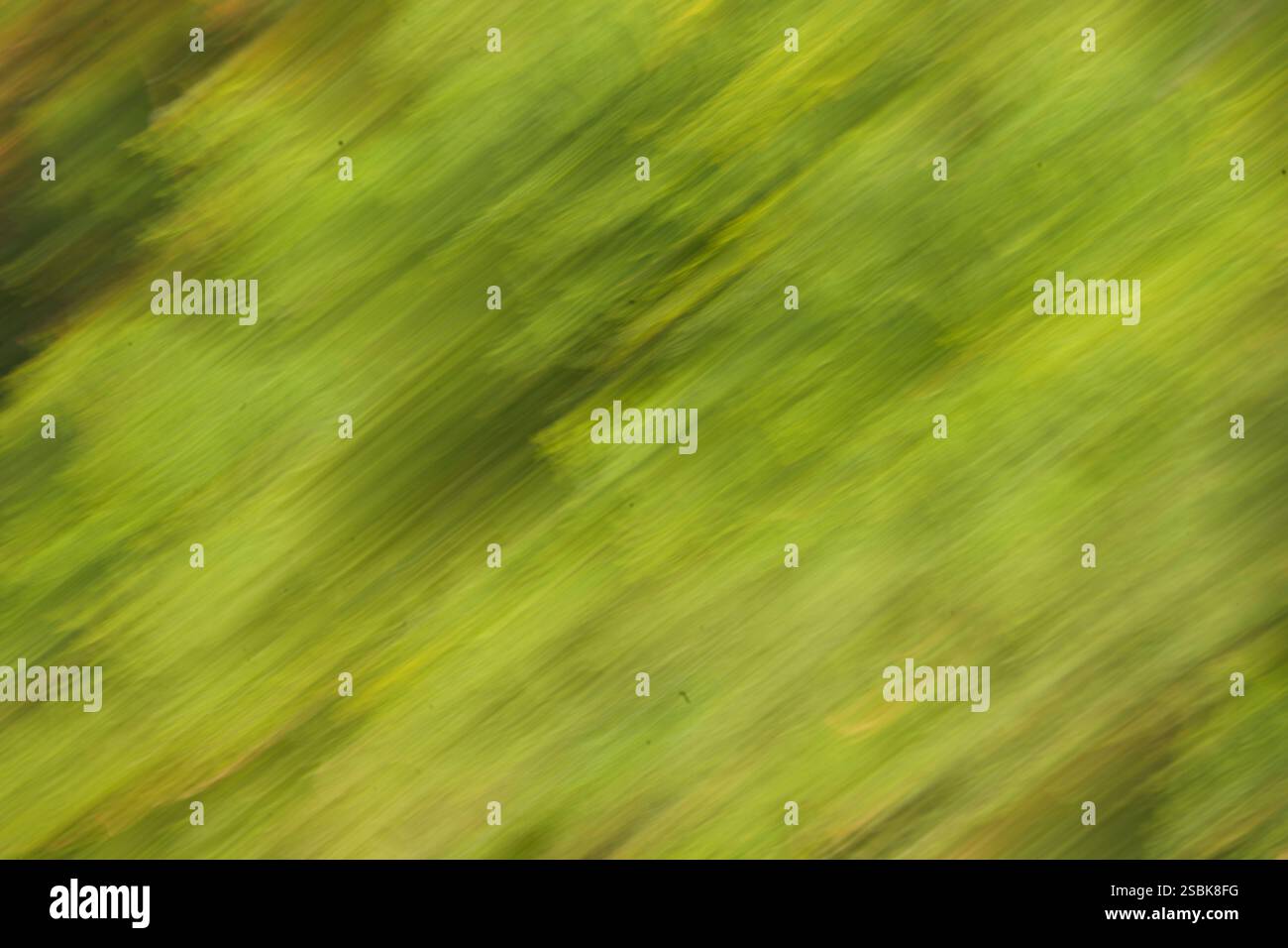 Colore verde brillante background Foto Stock