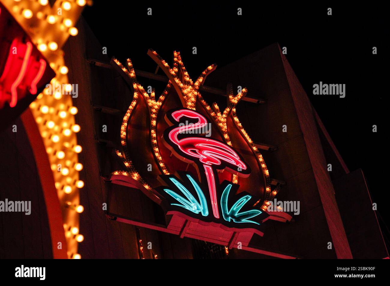 Insegna flamingo al neon illuminata di notte, con luci accese ed elementi retrò Foto Stock
