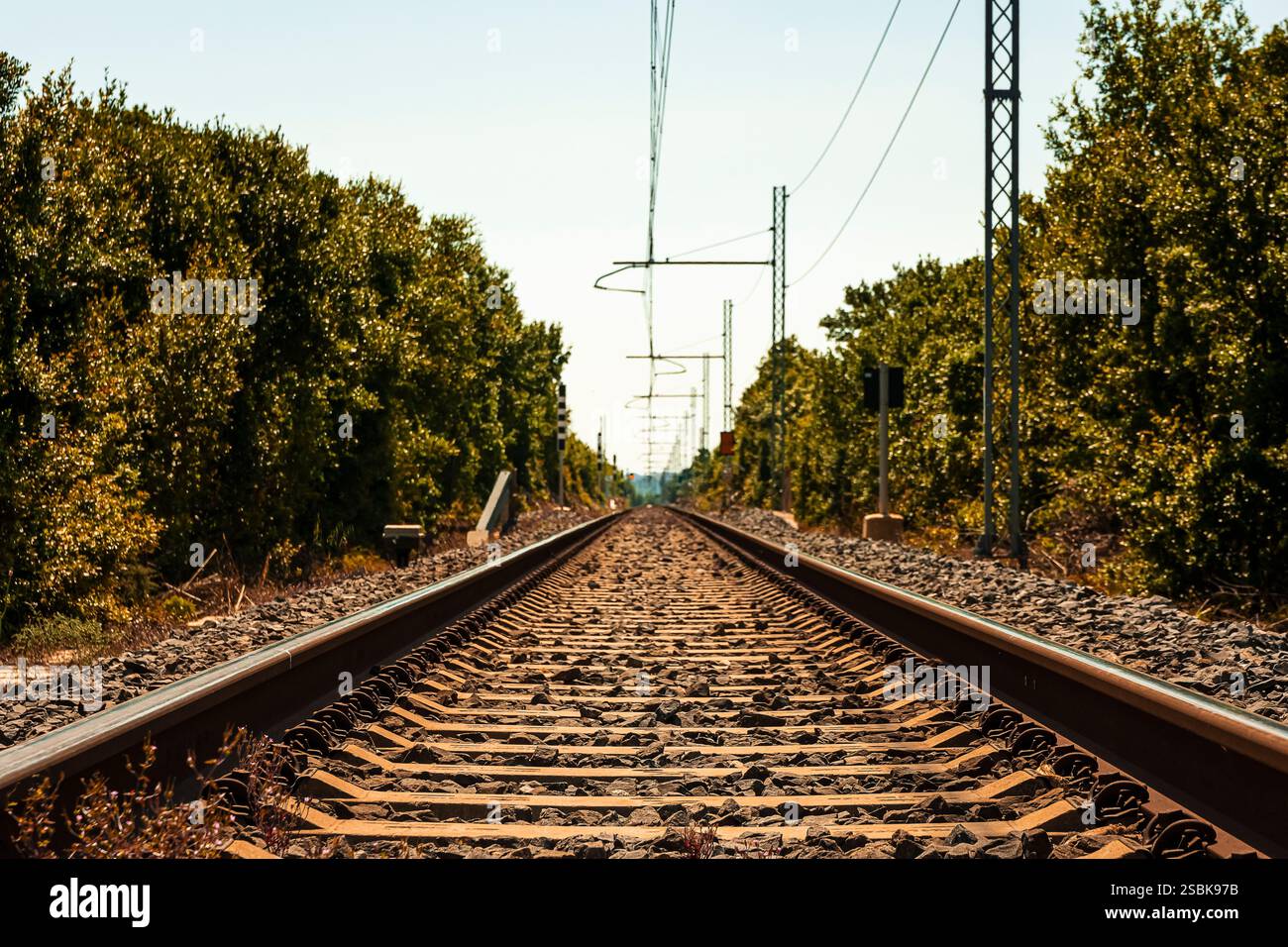 La linea ferroviaria di un percorso poco frequentato in Puglia Foto Stock