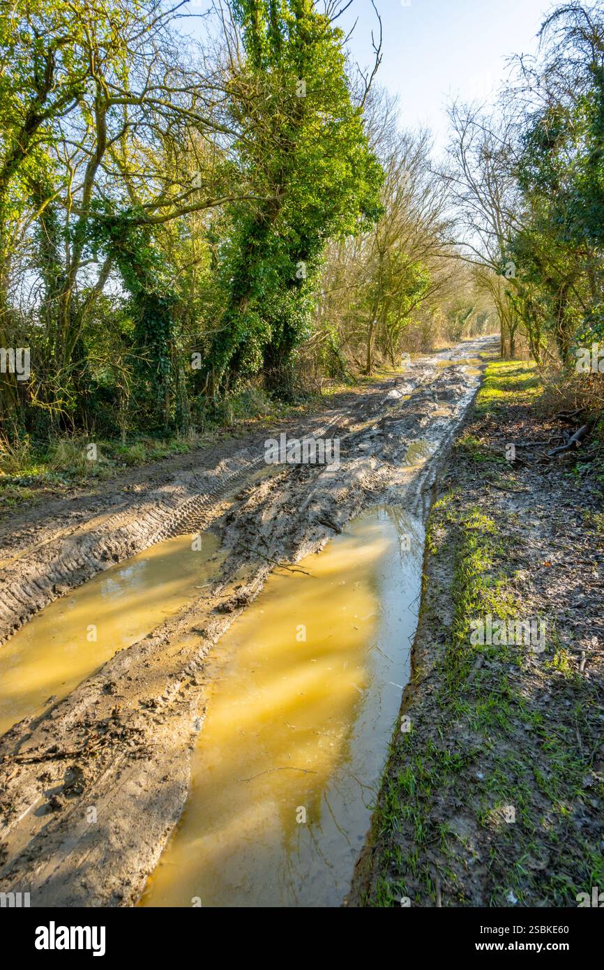Terra verde adagiata da veicoli a 4 ruote motrici vicino a Howe Street Essex Foto Stock
