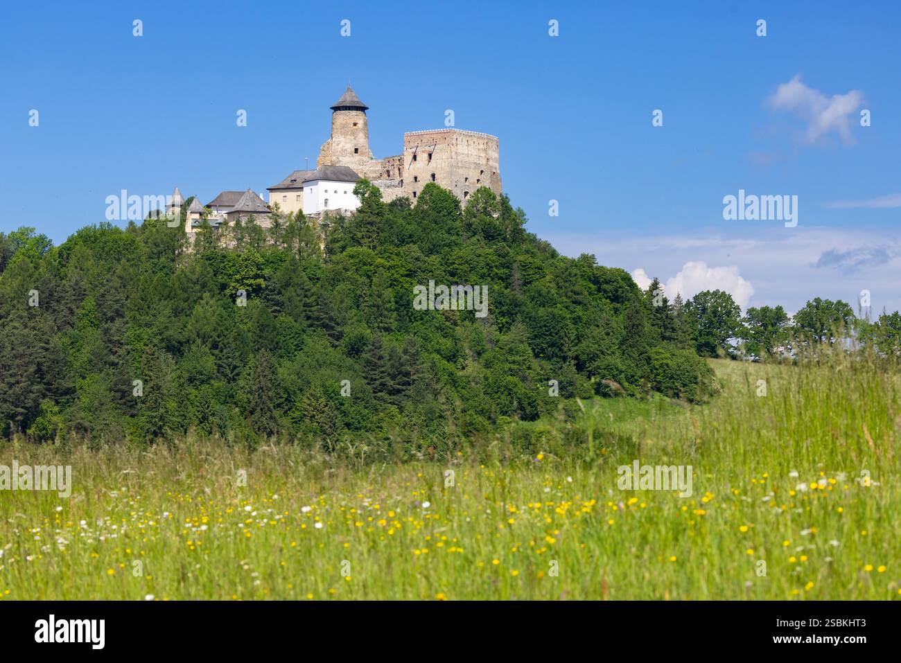 Castello di Stara Lubovna, regione di Presov, Slovacchia Foto Stock
