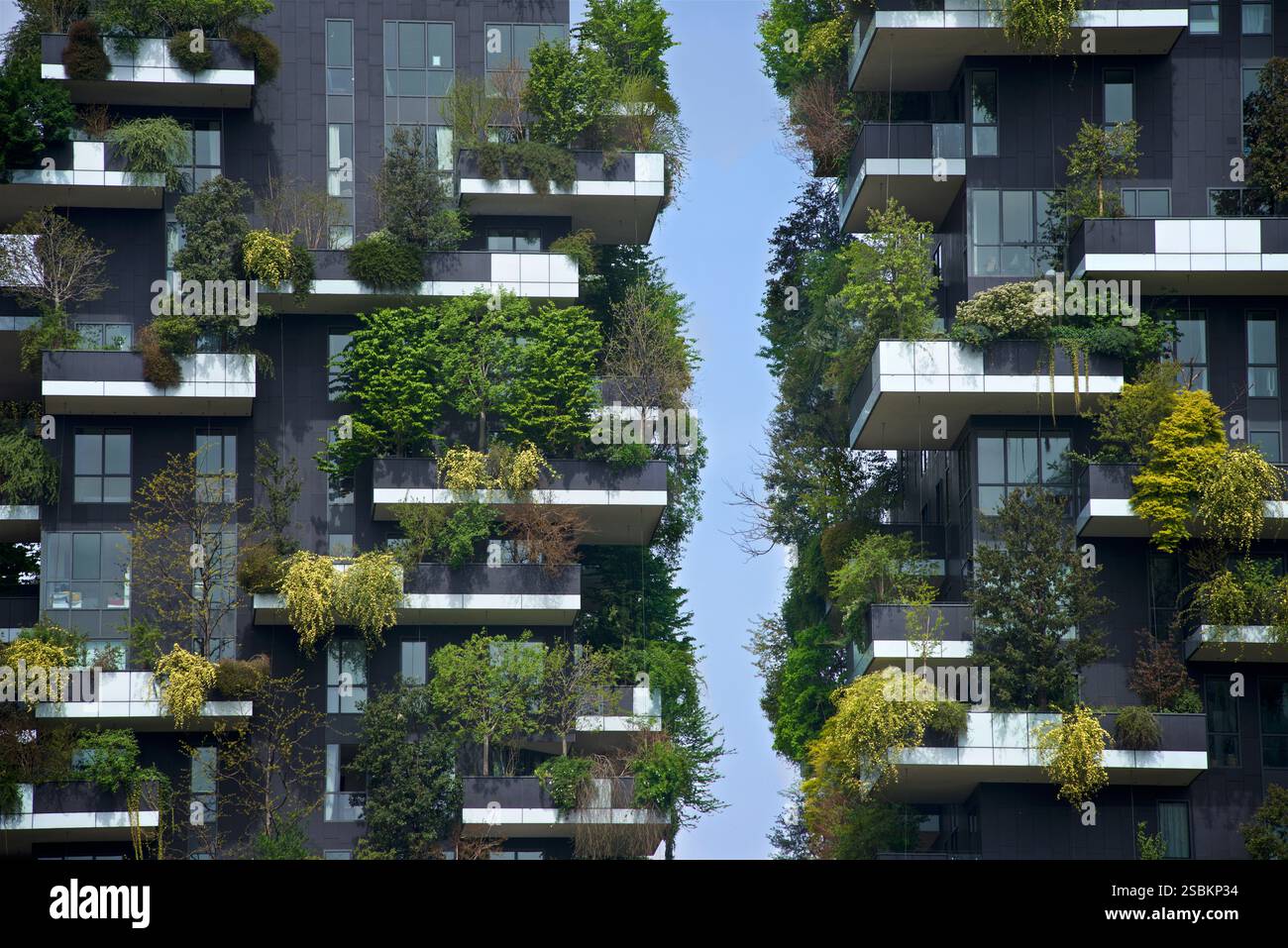 La "foresta verticale" è il prototipo di un nuovo formato di biodiversità architettonica che si concentra sul rapporto tra l'uomo e altre specie viventi. Il primo esempio, qui, costruito a 'Milano' nella zona di porta nuova, è costituito da due torri alte rispettivamente 80 e 112 m, che ospitano un totale di 800 alberi, 15.000 piante perenni e/o a copertura di terreno e 5.000 arbusti. Equivalente a 30.000 metri quadrati di bosco e sottobosco, concentrati su 3.000 metri quadrati di superficie urbana. Un progetto Boeri Studio, Milano, Lombardi, Italia. Foto Stock