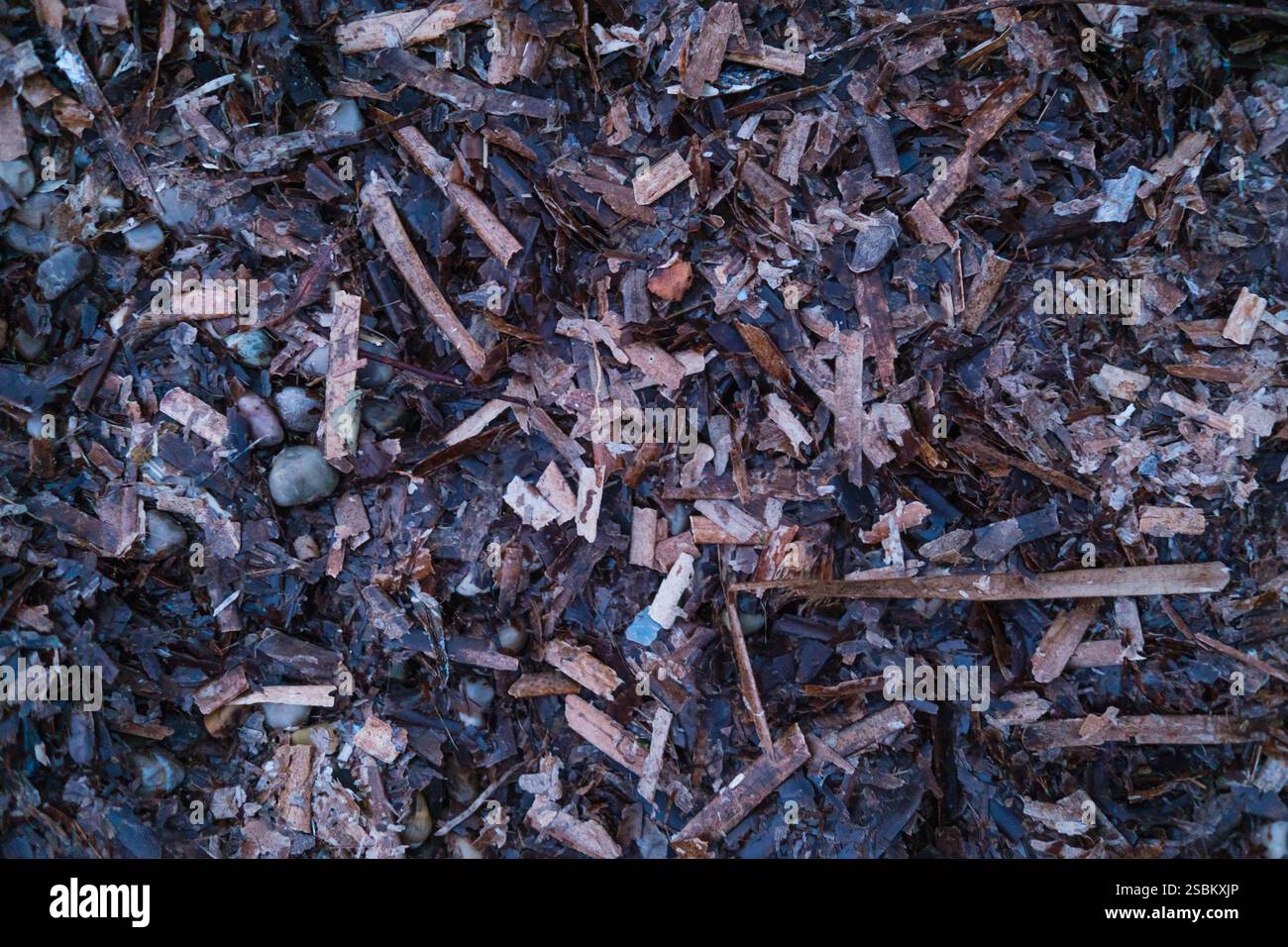 Alghe e detriti bagnati dalla tempesta mescolati con il Trash sulla spiaggia Foto Stock