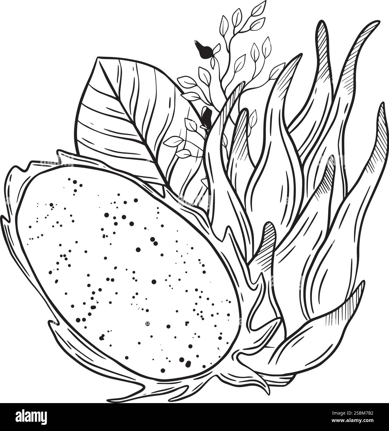 Una suggestiva illustrazione di frutta del drago con foglie verdi, perfetta per il veganesimo e temi di stile di vita sano. Grafica vettoriale disegnata a mano per la progettazione di siti Web, opuscoli, e-pack, etichette o pubblicità. Illustrazione Vettoriale