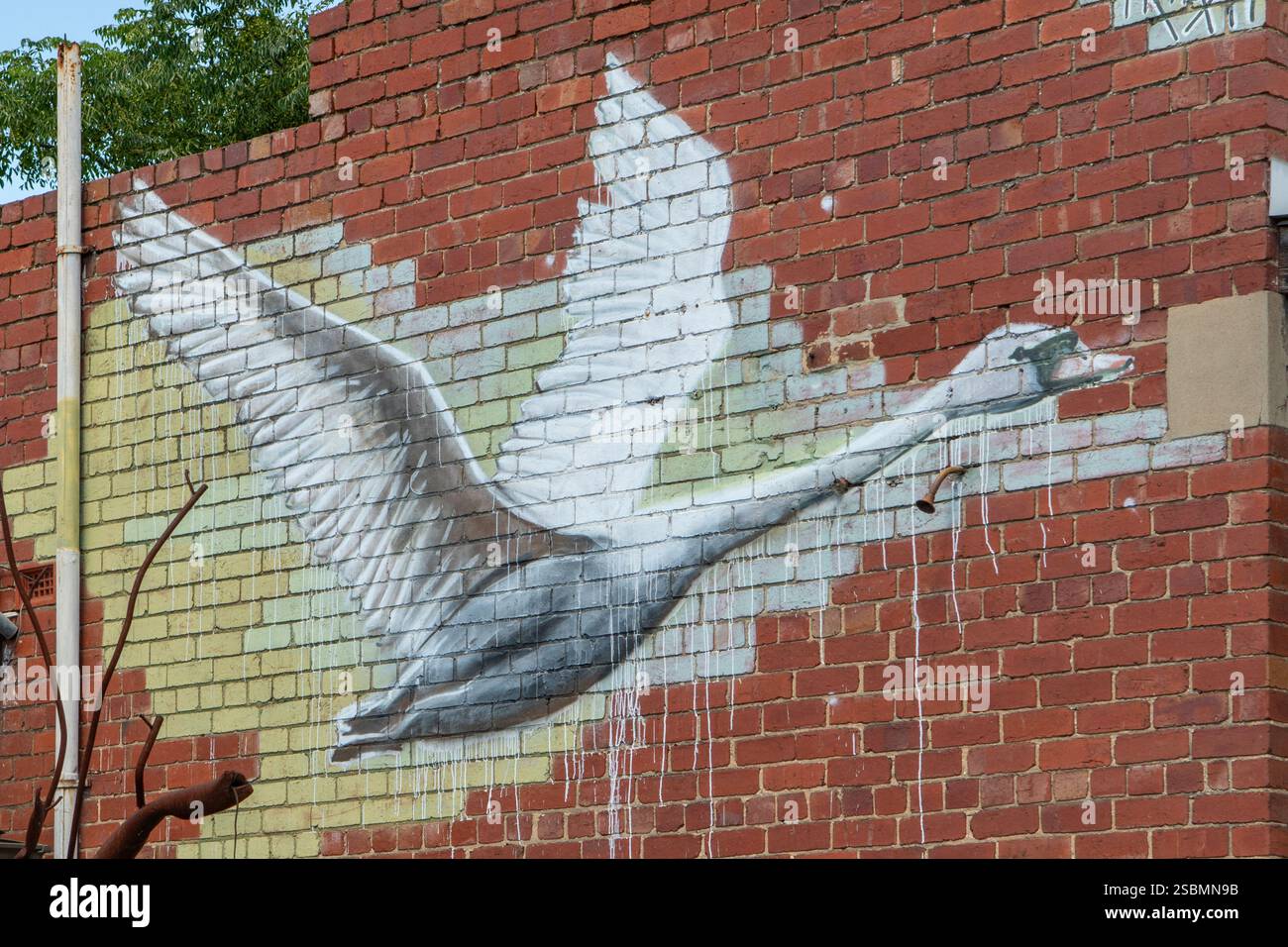 Street Art a Tuppen Street, Yarraville, Victoria, Australia Foto Stock
