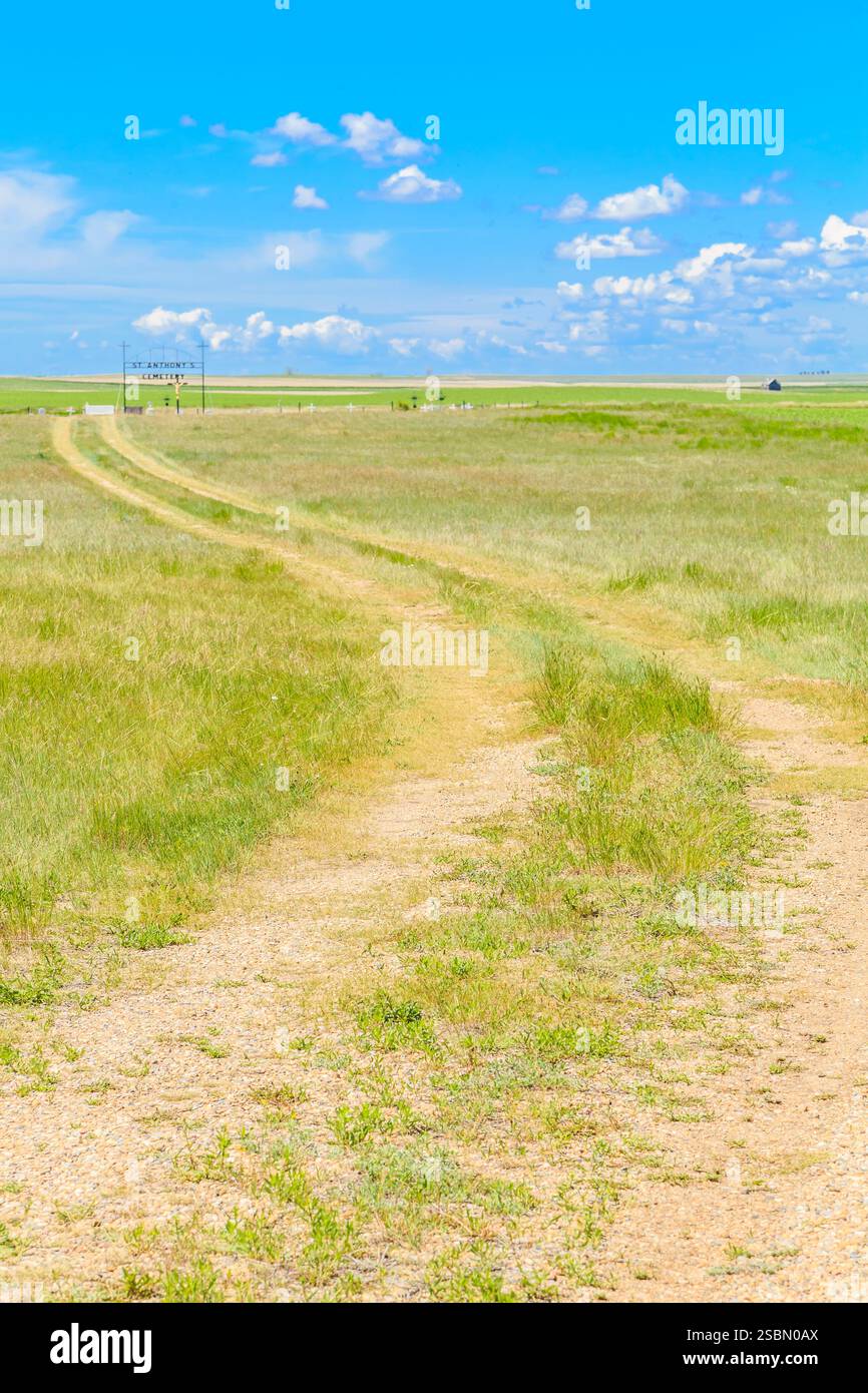 Strada sterrata in un campo con un cielo blu. C'è un palo in mezzo alla strada Foto Stock