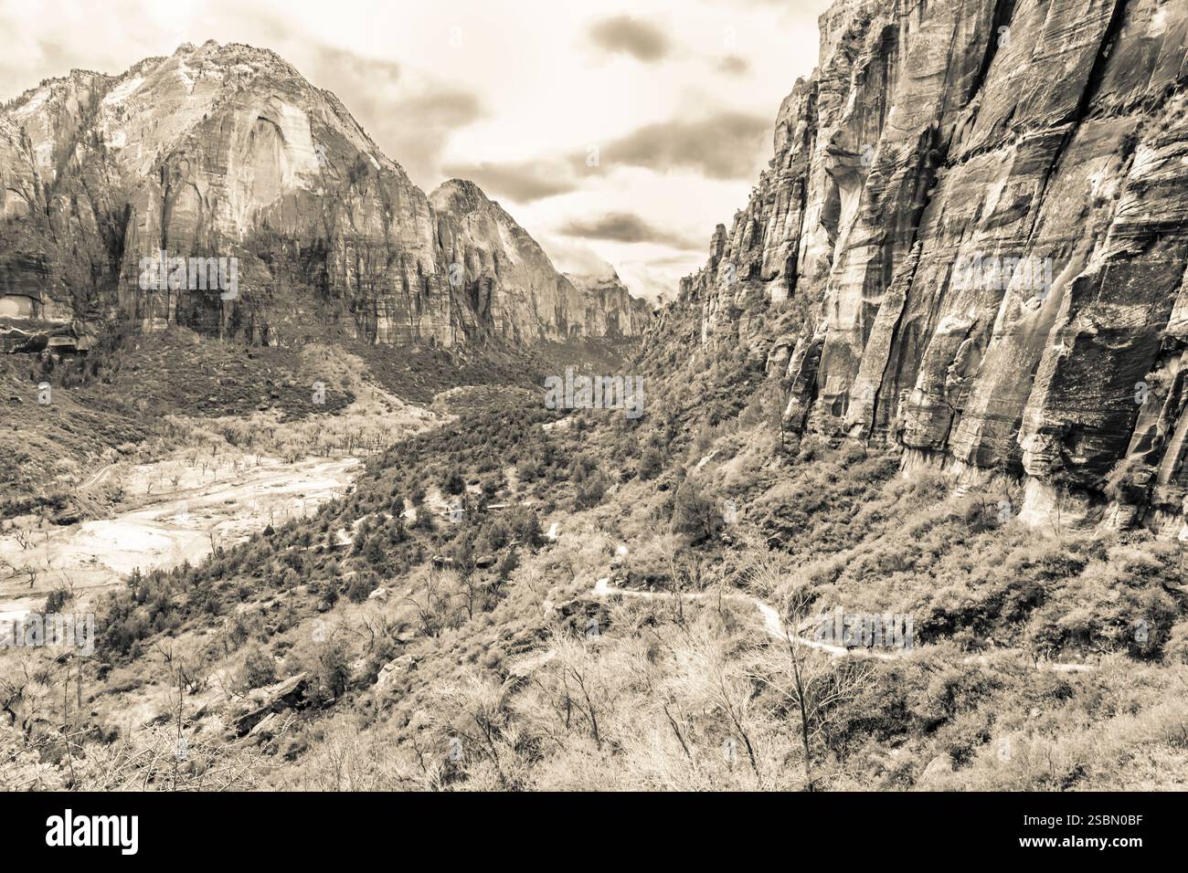 Catena montuosa con un fiume che la attraversa. Le montagne sono ricoperte di alberi. Il cielo è nuvoloso Foto Stock