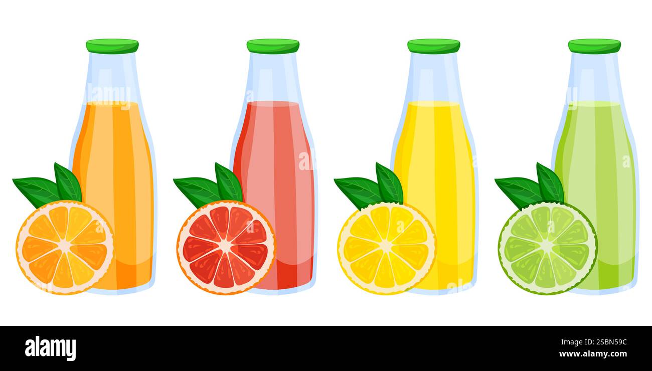 Arancia, pompelmo, limone, succo di lime fresco in bottiglie di vetro. Illustrazione di cartoni animati piatti vettoriali isolata su sfondo bianco. Agrumi tropicali e. Illustrazione Vettoriale