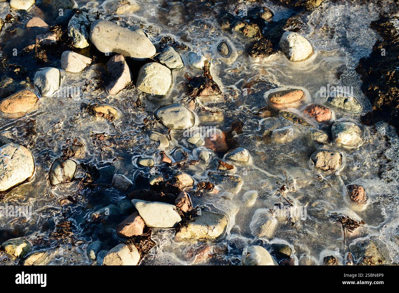 Ciottoli ricoperti di ghiaccio sulla spiaggia norvegese in inverno. Foto Stock