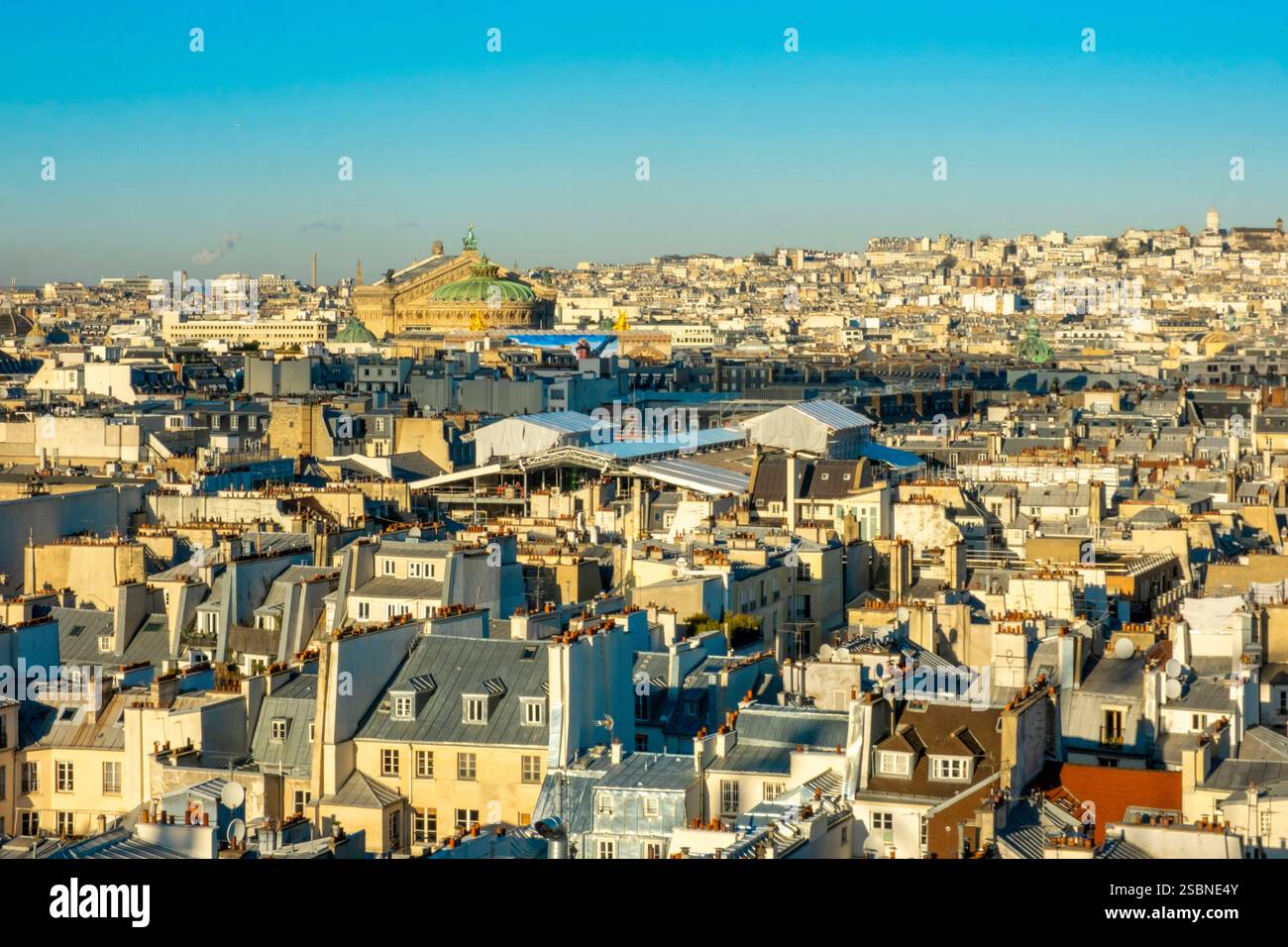 Francia, Parigi, vista generale dei tetti di Parigi e dell'Opera Garnier Foto Stock