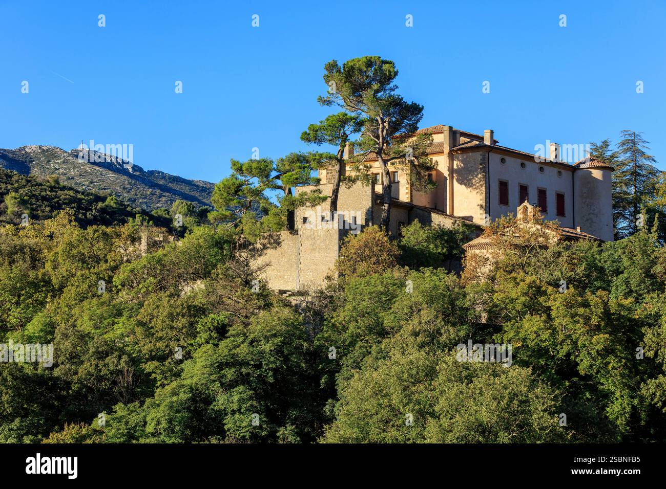 Francia, Bouches du Rhone, Pays d'Aix, Grand Site Sainte Victoire, Vauvenargues, Château de Vauvenargues (XIII secolo), Monumento storico, Château di Pablo Picasso Foto Stock