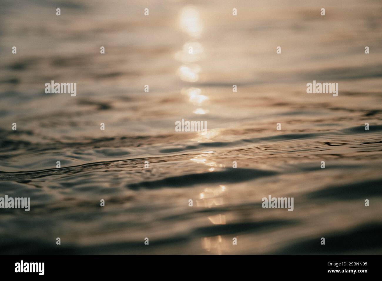 L'acqua è calma e il sole splende su di essa. Il riflesso del sole sull'acqua crea un'atmosfera serena e tranquilla Foto Stock