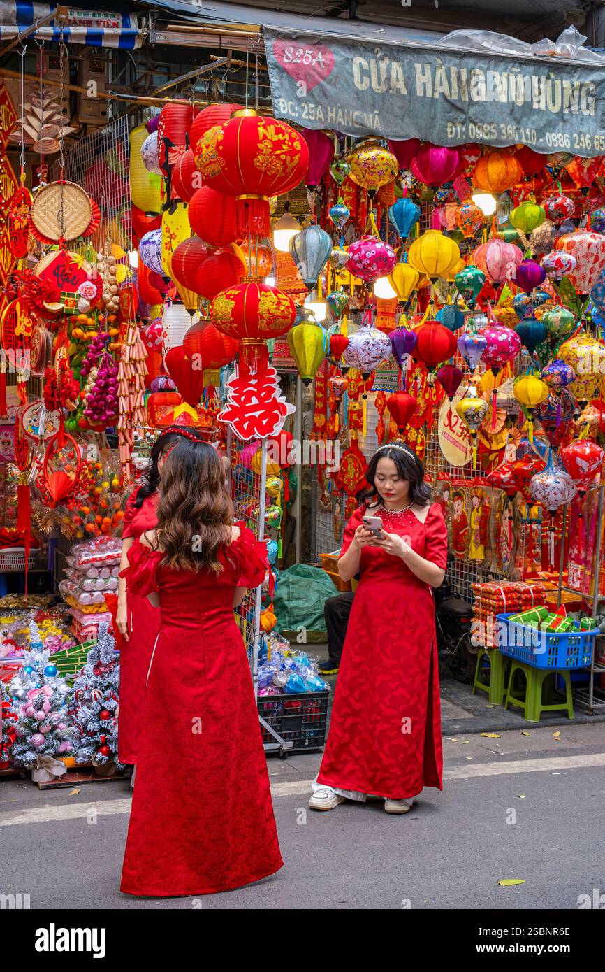 Vietnam, Hanoi, distretto di Hoan Kiem, vecchio distretto o distretto di 36 aziende, negozio di decorazioni per il festival Tet, Capodanno cinese Foto Stock