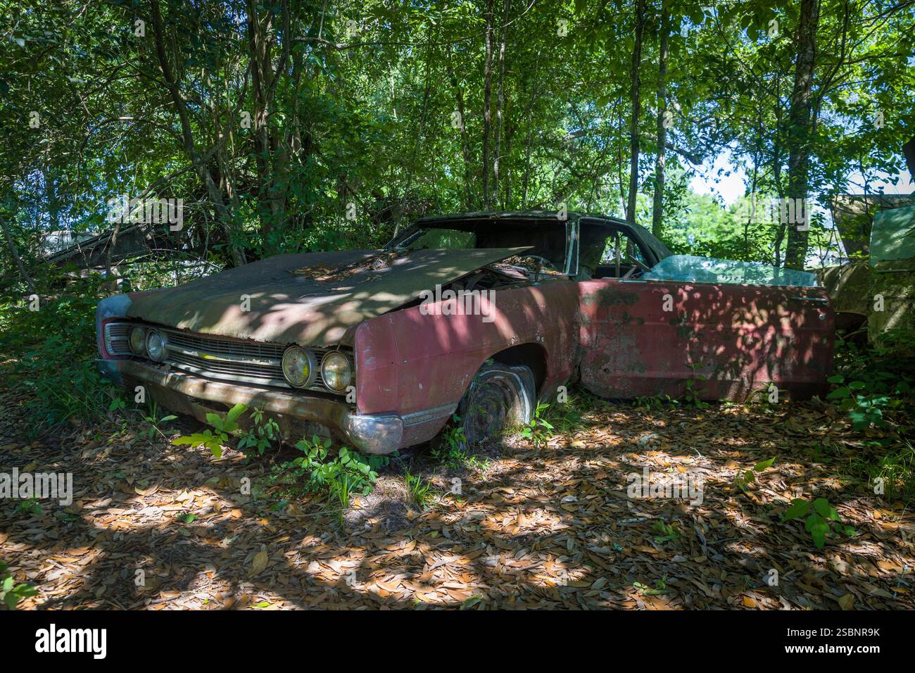 Stati Uniti, Louisiana, Thibodaux, Laurel Valley Plantation, ex piantagione di zucchero del XIX secolo, auto abbandonata Foto Stock