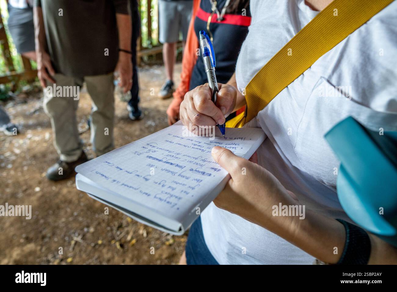 Prendere appunti nella fattoria di ricerca, Panama Foto Stock