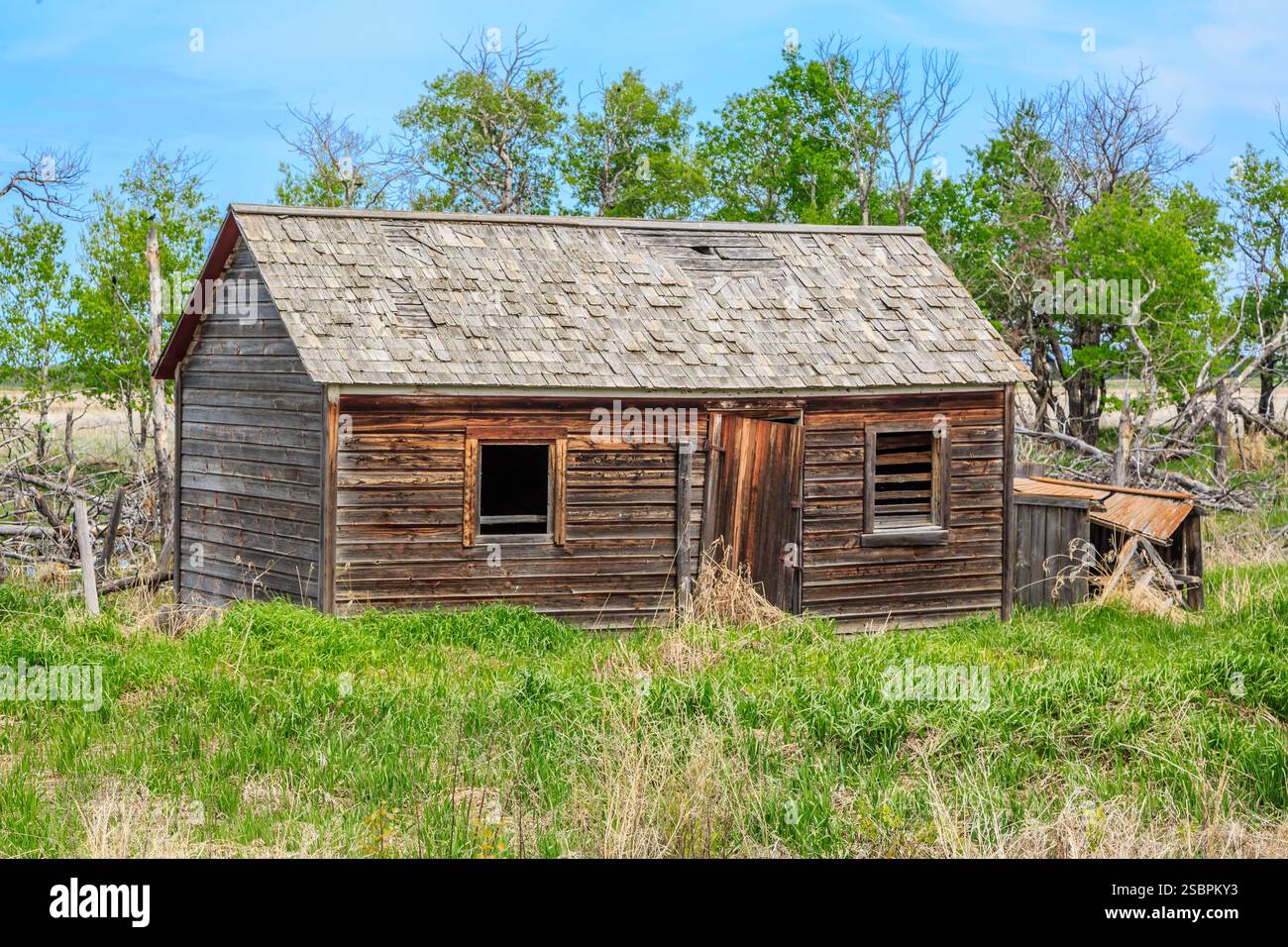 Piccola, vecchia casa in legno con tetto inclinato. Il tetto è fatto di tegole di legno. La casa è circondata da erba e alberi Foto Stock