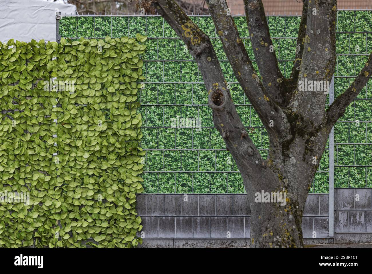 Schermo per la privacy in stile foglia su una casa indipendente. Recinzione di plastica borghese. Foto simbolica. Stoccarda, Baden-Wuerttemberg, Germania, Europa Foto Stock