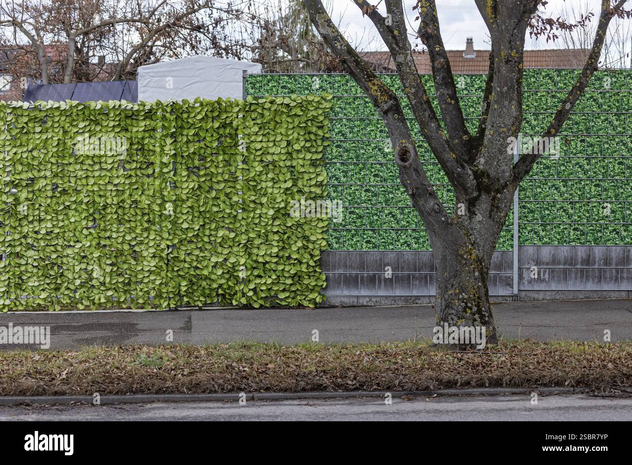 Schermo per la privacy in stile foglia su una casa indipendente. Recinzione di plastica borghese. Foto simbolica. Stoccarda, Baden-Wuerttemberg, Germania, Europa Foto Stock
