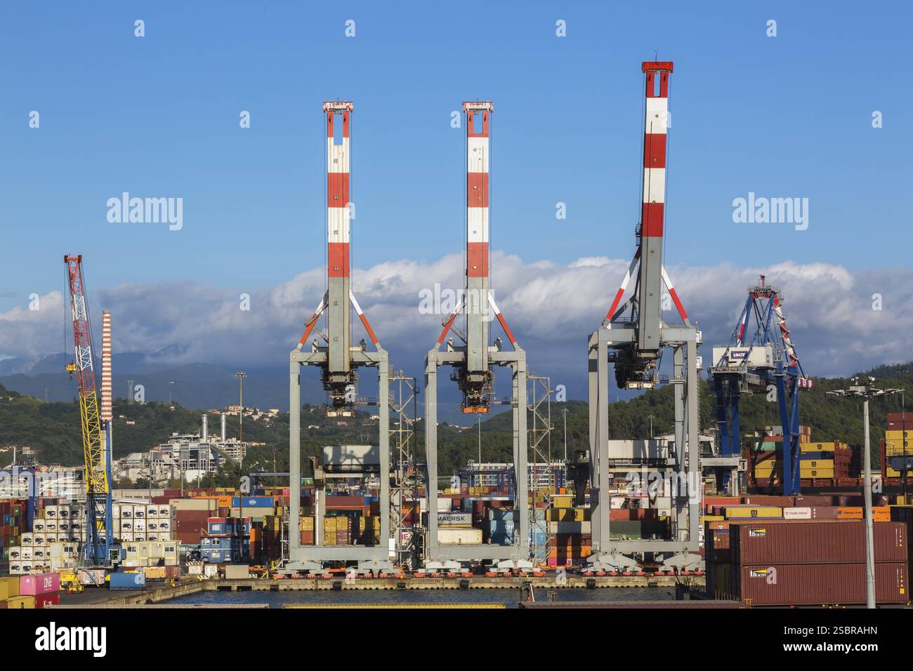 Gru a cavalletto alte rosse, bianche e grigie e contenitori rettangolari in metallo impilati sul molo di la Spezia cargo Port, Italia, Europa Foto Stock