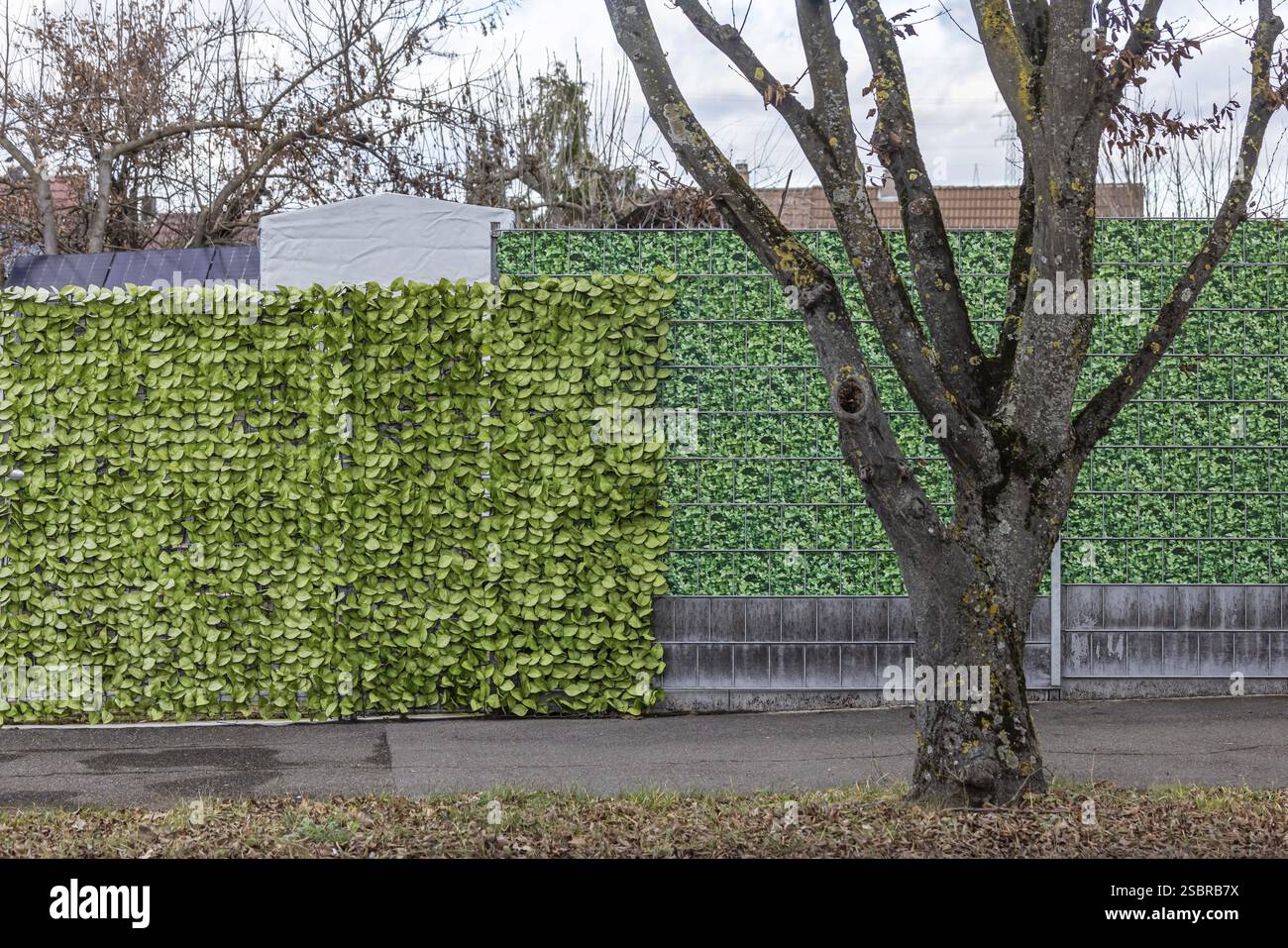 Schermo per la privacy in stile foglia su una casa indipendente. Recinzione di plastica borghese. Foto simbolica. Stoccarda, Baden-Wuerttemberg, Germania, Europa Foto Stock