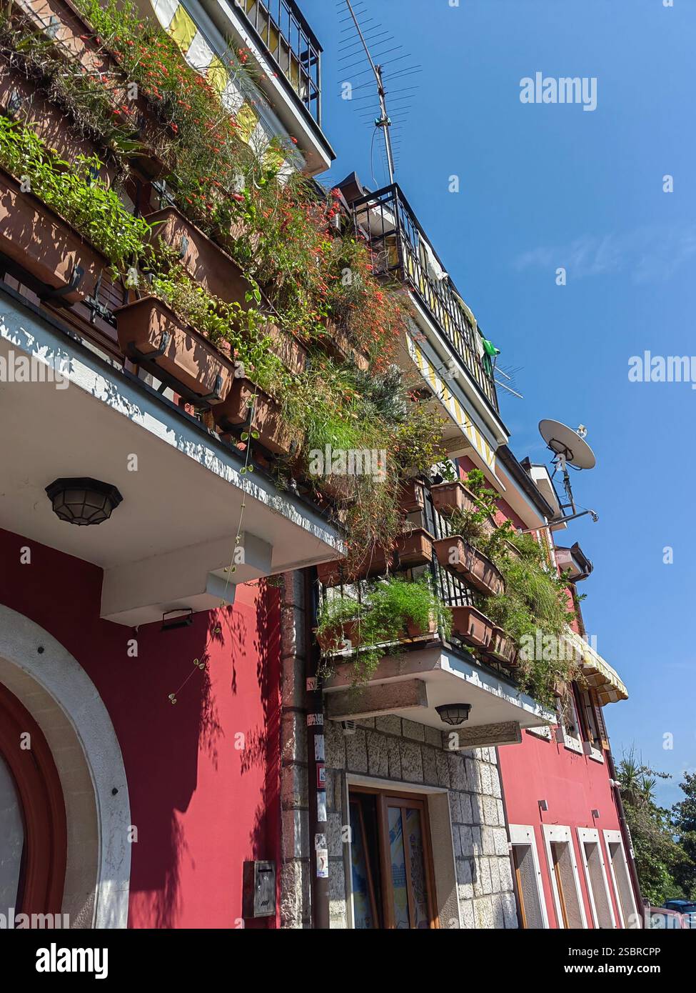 Casa rosa luminosa con balconi in fiore in Montenegro Foto Stock