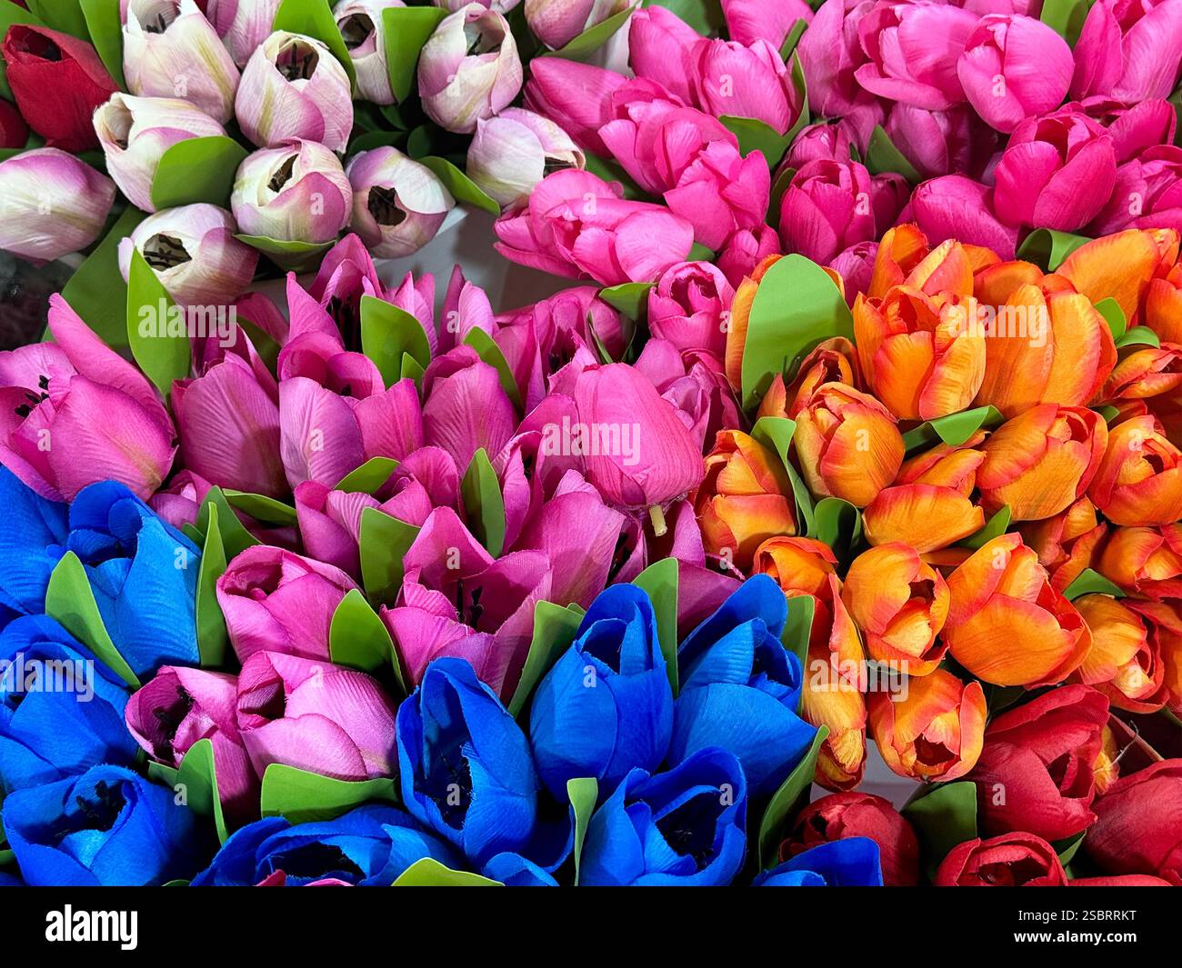 Primo piano di una bella disposizione di fiori di tulipani in vari colori. Tulipano blu, magenta, arancione, bianco e rosa. Sfondo decorato con tulipani floreali Foto Stock