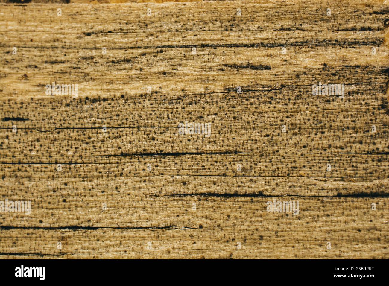 Texture di legno con motivi naturali come sfondo Foto Stock