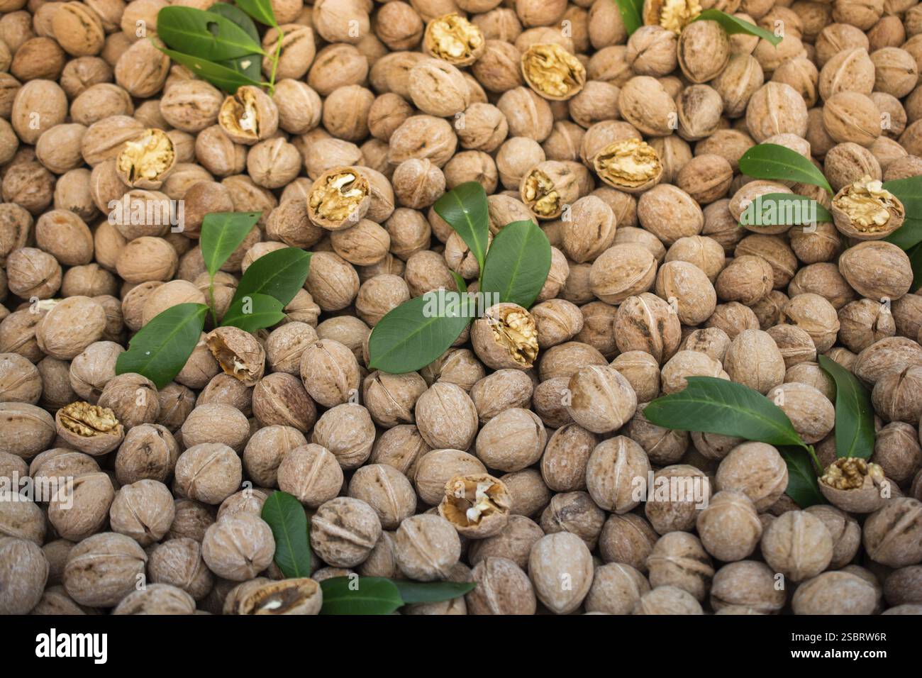 Tutto lo sfondo delle noci. Sano concetto di cibo organico Foto Stock